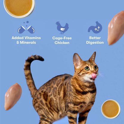 Cage-Free Chicken Cat Paté