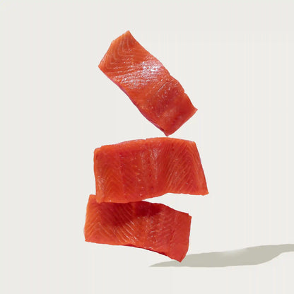 Salmon Jerky Bites