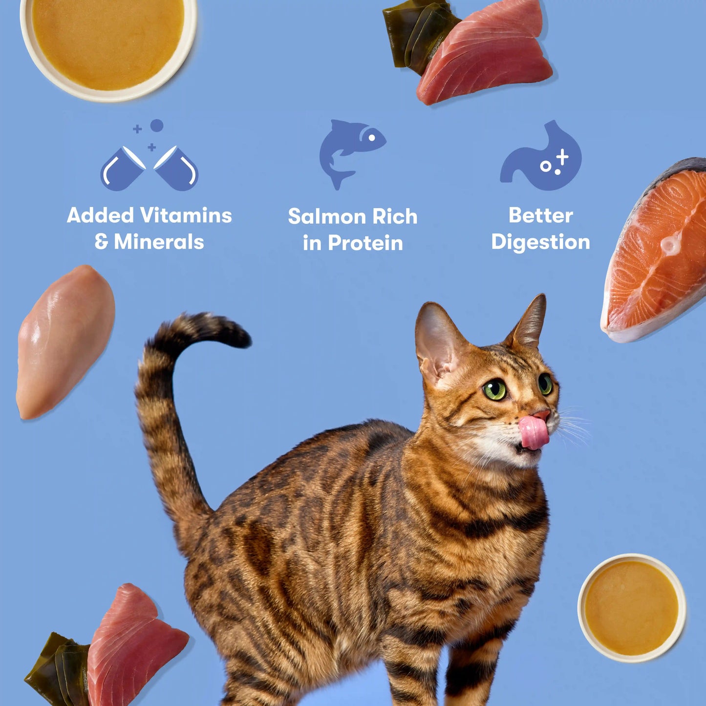 Tuna & Salmon Cat Paté
