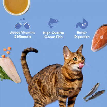 Ocean Fish Cat Paté